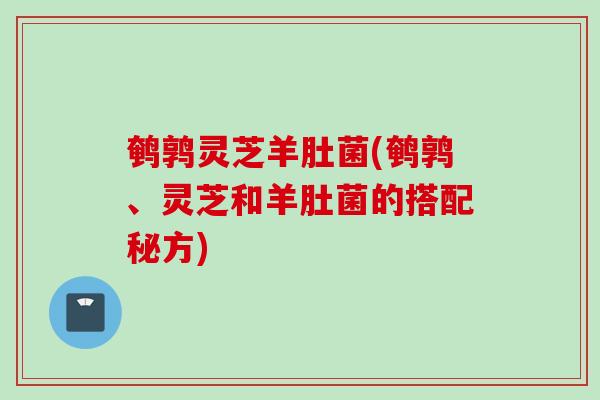 鹌鹑灵芝羊肚菌(鹌鹑、灵芝和羊肚菌的搭配秘方)