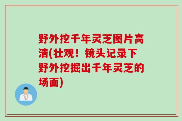 野外挖千年灵芝图片高清(壮观！镜头记录下野外挖掘出千年灵芝的场面)