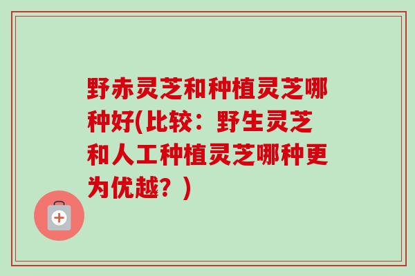 野赤灵芝和种植灵芝哪种好(比较：野生灵芝和人工种植灵芝哪种更为优越？)