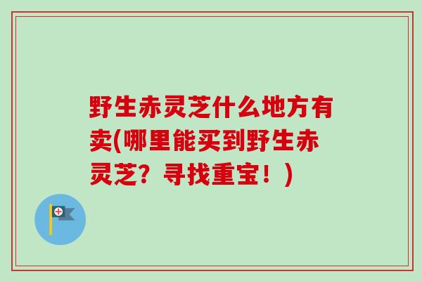 野生赤灵芝什么地方有卖(哪里能买到野生赤灵芝？寻找重宝！)