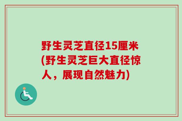 野生灵芝直径15厘米(野生灵芝巨大直径惊人，展现自然魅力)