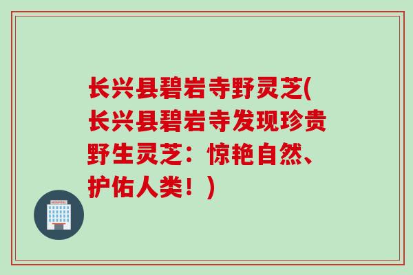 长兴县碧岩寺野灵芝(长兴县碧岩寺发现珍贵野生灵芝：惊艳自然、护佑人类！)