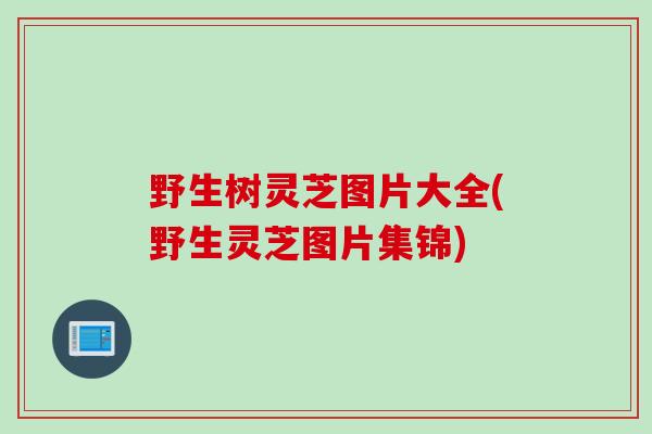 野生树灵芝图片大全(野生灵芝图片集锦)