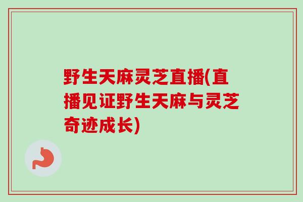 野生天麻灵芝直播(直播见证野生天麻与灵芝奇迹成长)