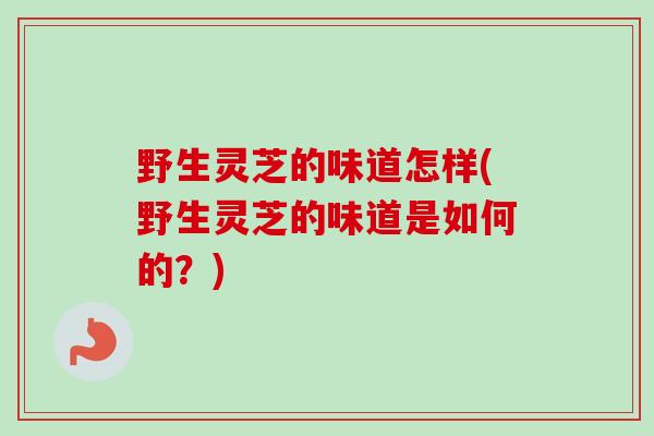 野生灵芝的味道怎样(野生灵芝的味道是如何的？)