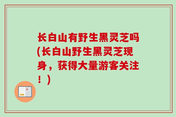 长白山有野生黑灵芝吗(长白山野生黑灵芝现身,获得大量游客关注!) 长白山有野生黑灵芝吗(长白山野生黑灵芝现身,获得大量游客关注!)