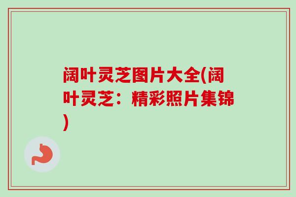阔叶灵芝图片大全(阔叶灵芝:精彩照片集锦) 阔叶灵芝图片大全(阔叶灵芝:精彩照片集锦)