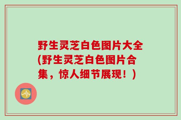 野生灵芝白色图片大全(野生灵芝白色图片合集，惊人细节展现！)