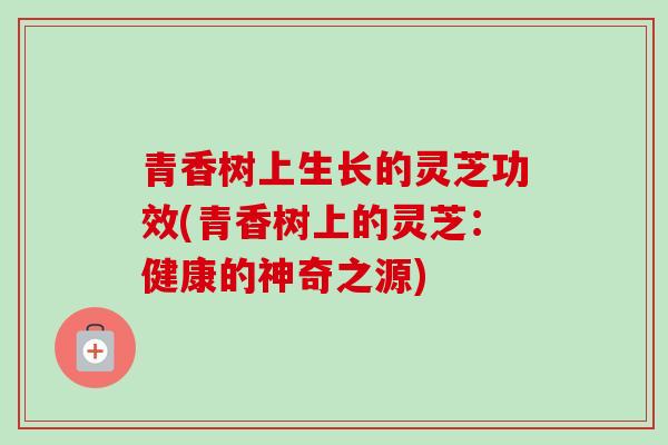 青香树上生长的灵芝功效(青香树上的灵芝:健康的神奇之源) 青香树上生长的灵芝功效(青香树上的灵芝:健康的神奇之源)