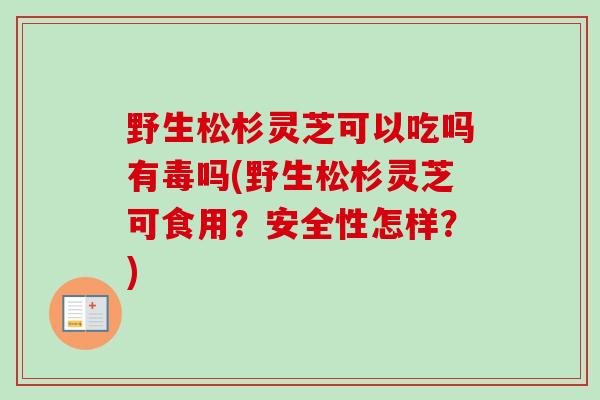 野生松杉灵芝可以吃吗有毒吗(野生松杉灵芝可食用？安全性怎样？)