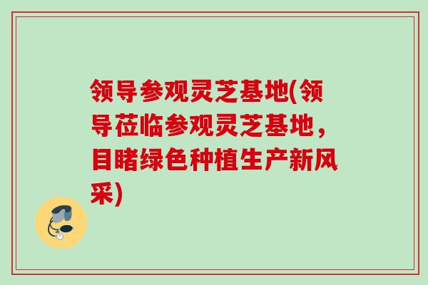 领导参观灵芝基地(领导莅临参观灵芝基地，目睹绿色种植生产新风采)