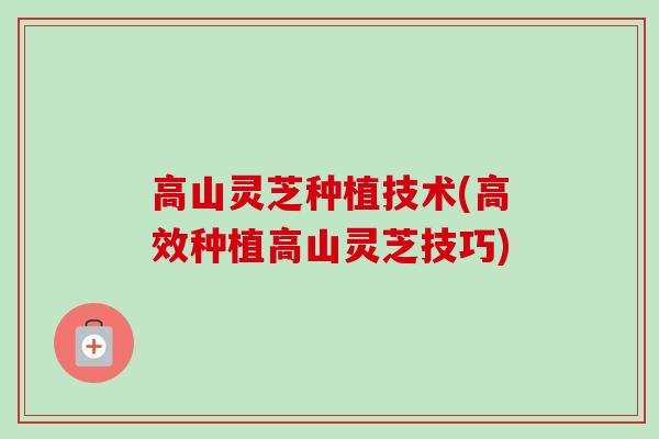 高山灵芝种植技术(高效种植高山灵芝技巧)
