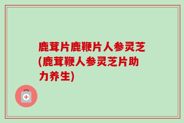 鹿茸片鹿鞭片人参灵芝(鹿茸鞭人参灵芝片助力养生)