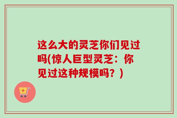 这么大的灵芝你们见过吗(惊人巨型灵芝：你见过这种规模吗？)