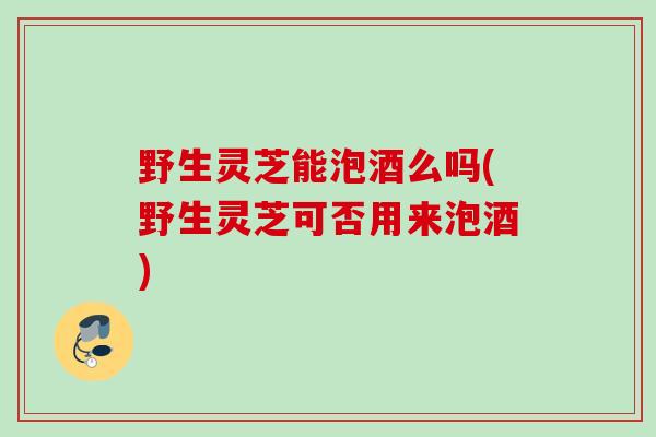 野生灵芝能泡酒么吗(野生灵芝可否用来泡酒)