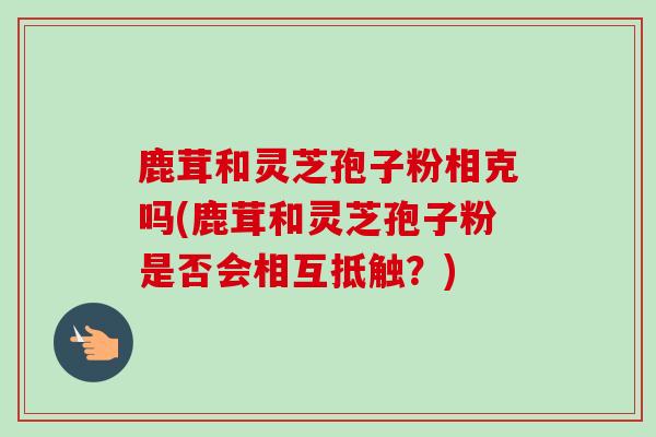 鹿茸和灵芝孢子粉相克吗(鹿茸和灵芝孢子粉是否会相互抵触？)