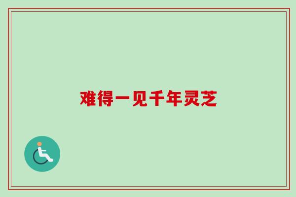 难得一见千年灵芝