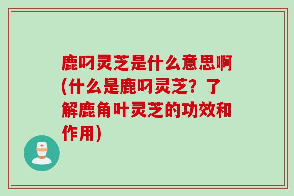 鹿叼灵芝是什么意思啊(什么是鹿叼灵芝?了解鹿角叶灵芝的功效和作用) 鹿叼灵芝是什么意思啊(什么是鹿叼灵芝?了解鹿角叶灵芝的功效和作用)