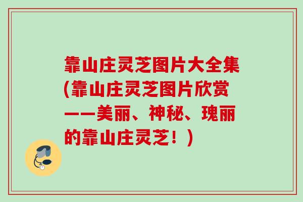 靠山庄灵芝图片大全集(靠山庄灵芝图片欣赏——美丽、神秘、瑰丽的靠山庄灵芝！)
