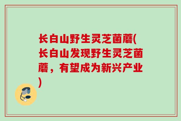 长白山野生灵芝菌蘑(长白山发现野生灵芝菌蘑，有望成为新兴产业)