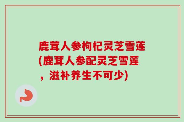鹿茸人参枸杞灵芝雪莲(鹿茸人参配灵芝雪莲，滋补养生不可少)