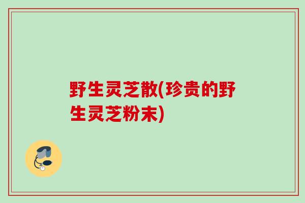 野生灵芝散(珍贵的野生灵芝粉末) 野生灵芝散(珍贵的野生灵芝粉末)