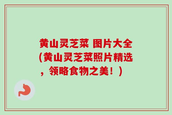 黄山灵芝菜 图片大全(黄山灵芝菜照片精选，领略食物之美！)
