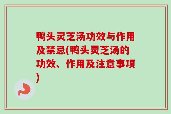 鸭头灵芝汤功效与作用及禁忌(鸭头灵芝汤的功效、作用及注意事项)