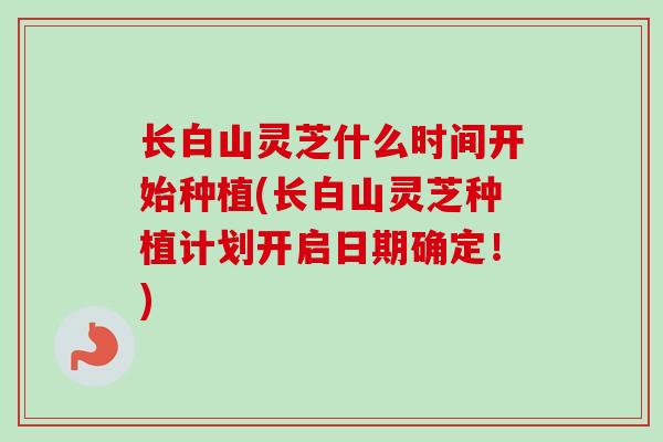 长白山灵芝什么时间开始种植(长白山灵芝种植计划开启日期确定！)