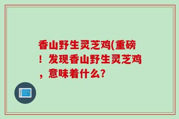 香山野生灵芝鸡(重磅！发现香山野生灵芝鸡，意味着什么？