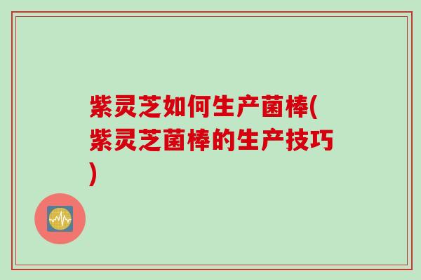 紫灵芝如何生产菌棒(紫灵芝菌棒的生产技巧)