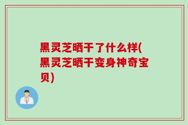 黑灵芝晒干了什么样(黑灵芝晒干变身神奇宝贝)