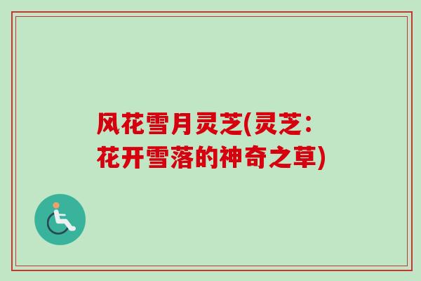 风花雪月灵芝(灵芝：花开雪落的神奇之草)