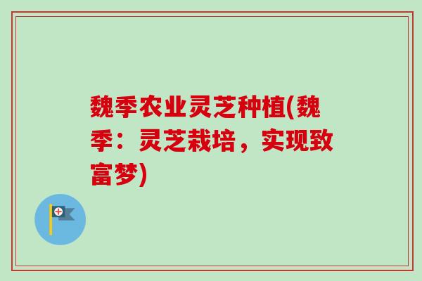 魏季农业灵芝种植(魏季：灵芝栽培，实现致富梦)