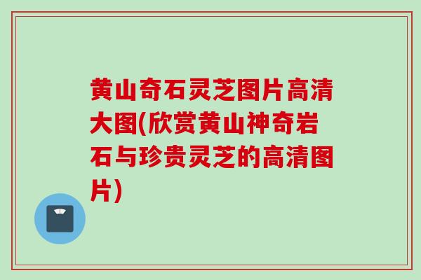 黄山奇石灵芝图片高清大图(欣赏黄山神奇岩石与珍贵灵芝的高清图片)