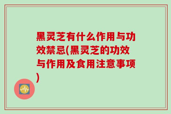 黑灵芝有什么作用与功效禁忌(黑灵芝的功效与作用及食用注意事项)