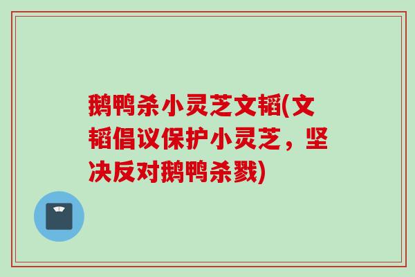 鹅鸭杀小灵芝文韬(文韬倡议保护小灵芝，坚决反对鹅鸭杀戮)