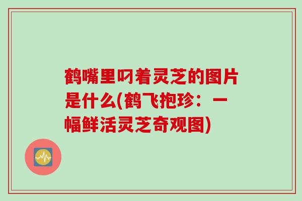 鹤嘴里叼着灵芝的图片是什么(鹤飞抱珍：一幅鲜活灵芝奇观图)