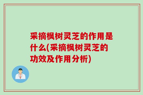 采摘枫树灵芝的作用是什么(采摘枫树灵芝的功效及作用分析)