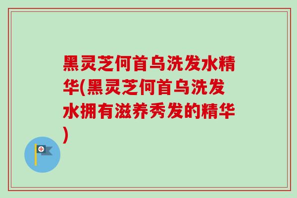 黑灵芝何首乌洗发水精华(黑灵芝何首乌洗发水拥有滋养秀发的精华)