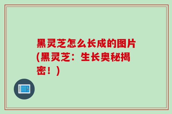黑灵芝怎么长成的图片(黑灵芝:生长奥秘揭密!) 黑灵芝怎么长成的图片(黑灵芝:生长奥秘揭密!)