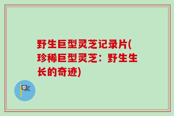 野生巨型灵芝记录片(珍稀巨型灵芝：野生生长的奇迹)