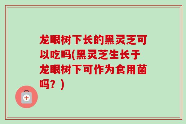 龙眼树下长的黑灵芝可以吃吗(黑灵芝生长于龙眼树下可作为食用菌吗？)