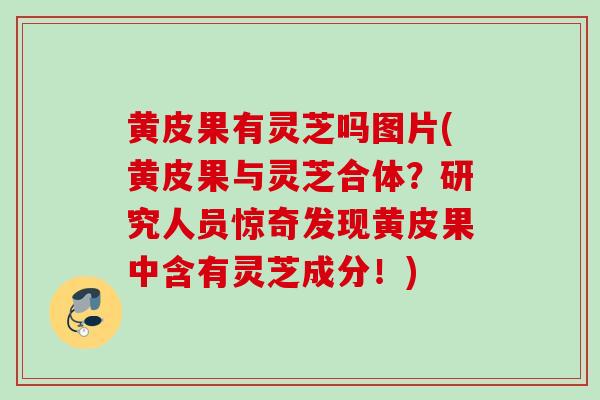 黄皮果有灵芝吗图片(黄皮果与灵芝合体？研究人员惊奇发现黄皮果中含有灵芝成分！)