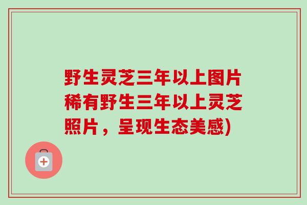 野生灵芝三年以上图片稀有野生三年以上灵芝照片，呈现生态美感)