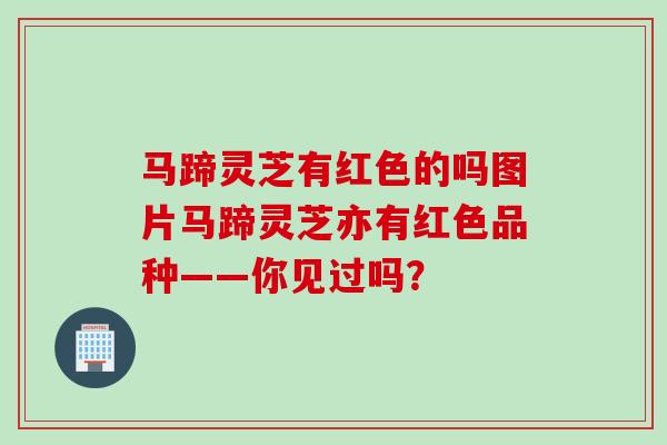 马蹄灵芝有红色的吗图片马蹄灵芝亦有红色品种——你见过吗？
