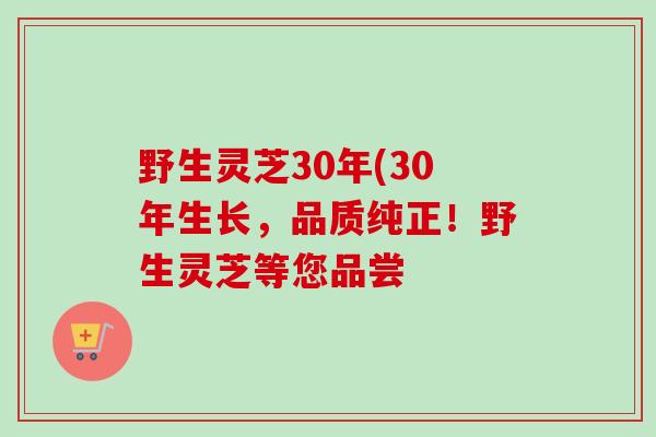 野生灵芝30年(30年生长，品质纯正！野生灵芝等您品尝
