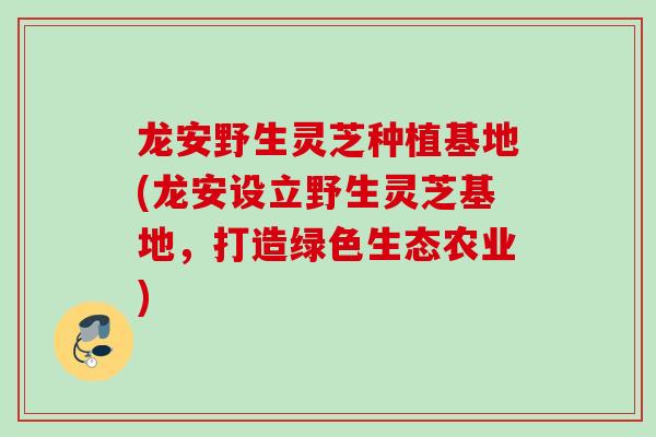龙安野生灵芝种植基地(龙安设立野生灵芝基地，打造绿色生态农业)