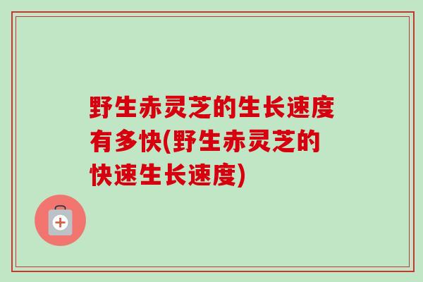 野生赤灵芝的生长速度有多快(野生赤灵芝的快速生长速度)