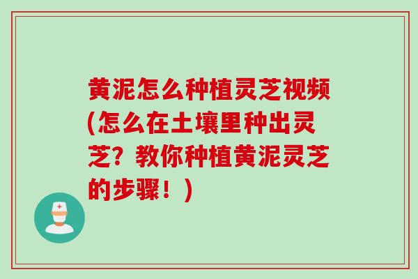 黄泥怎么种植灵芝视频(怎么在土壤里种出灵芝？教你种植黄泥灵芝的步骤！)